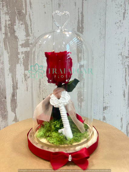 Cúpula Rosa Primeriti