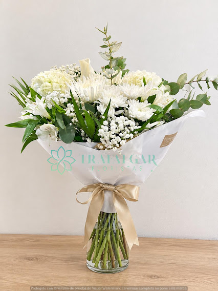 1I- Ramo White