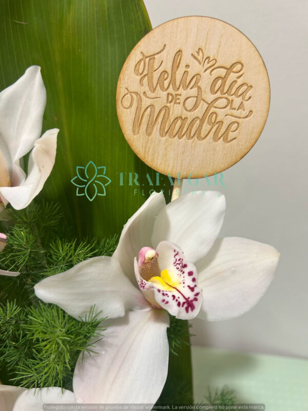 2G- Taza Mamá - Imagen 4