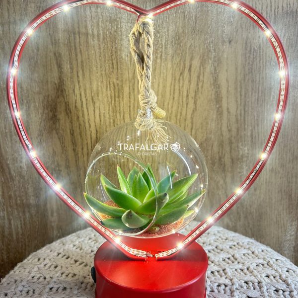 Corazon Led