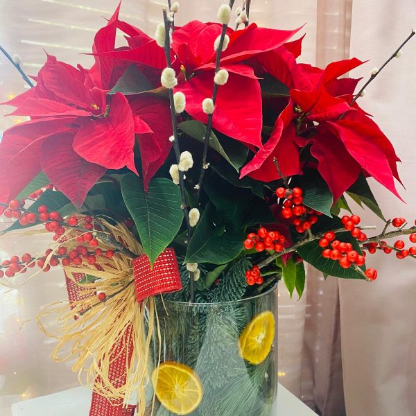 Planta Navidad Cristal