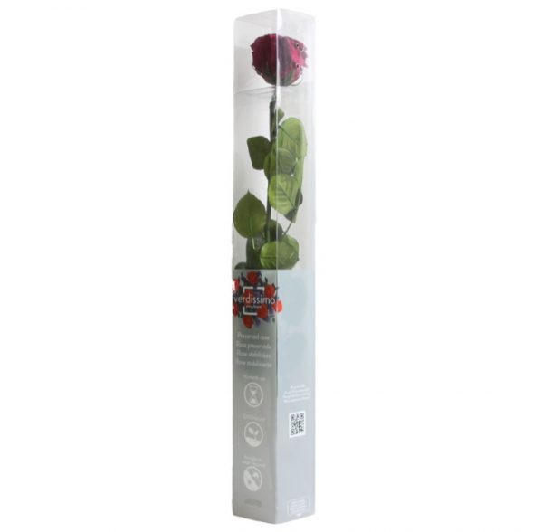 Rosa Eterna Púrpura Estándar