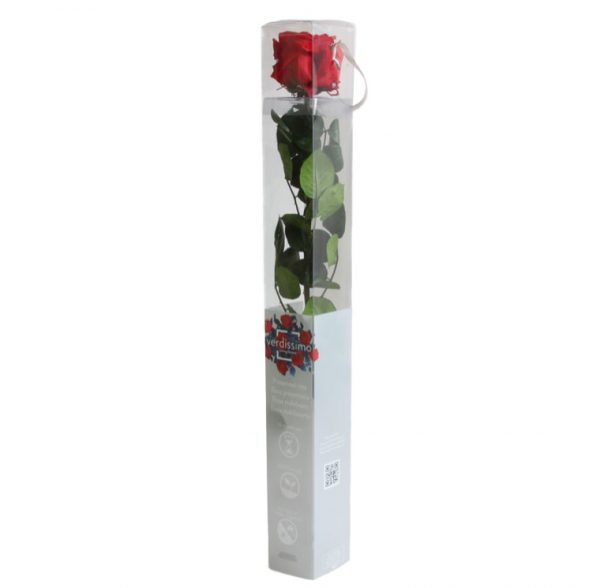 Rosa Eterna Roja Estandar