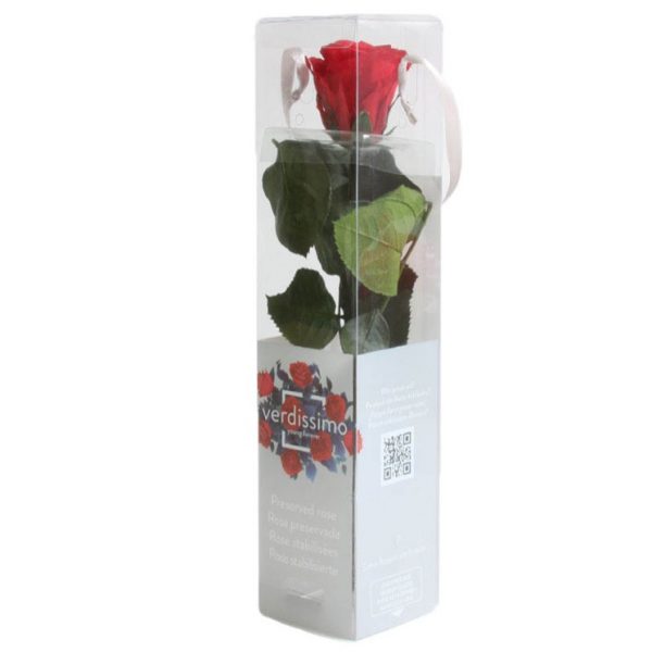 Rosa Eterna Roja Estándar