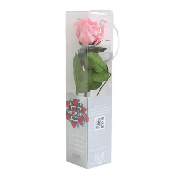 Rosa Eterna Rosa Mini