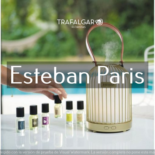 ESTEBAN PARIS
