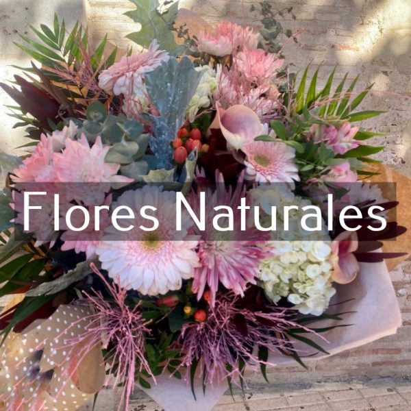 FLORES NATURALES