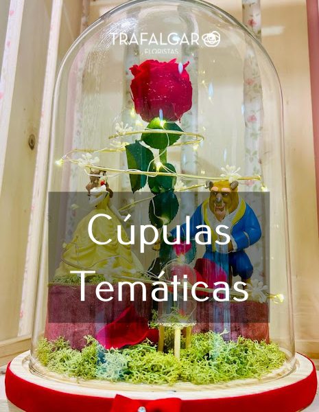 CÚPULAS TEMÁTICAS