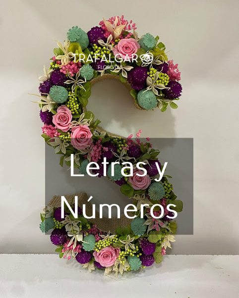 LETRAS Y NUMEROS