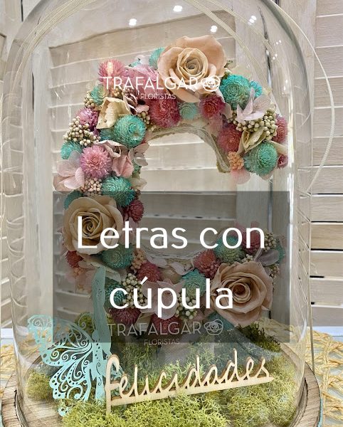 LETRAS CON CUPULA
