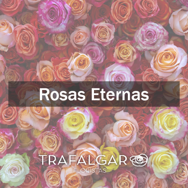 ROSAS ETERNAS