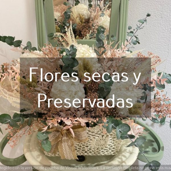 FLORES SECAS Y PRESERVADAS