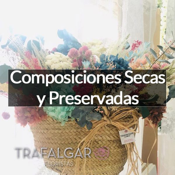 COMPOSICIONES SECAS Y PRESERVADAS
