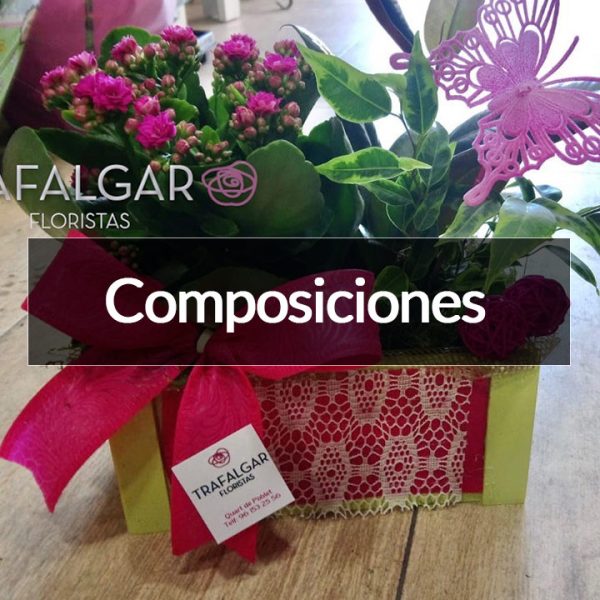 COMPOSICONES CON PLANTAS