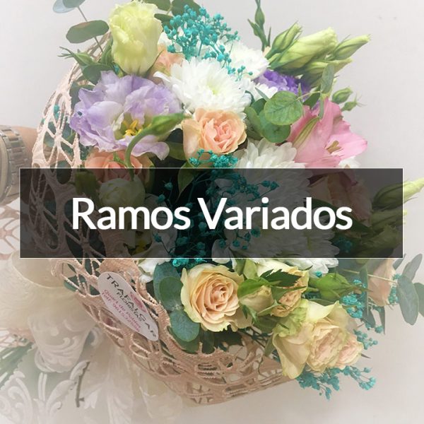 RAMOS VARIADOS